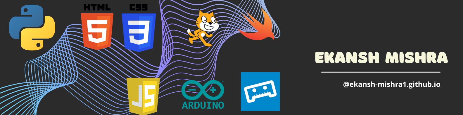 Ekansh Mishra programming skills banner